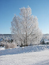 Winter bei uns um die Ecke