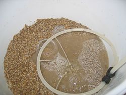 Und gel&auml;utert wird auch!