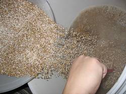 Vorbereiten zum Maischen