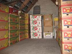 Rund fünfzig Kartons voller Bierflaschen Rund fünfzig Kartons voller Bierflaschen