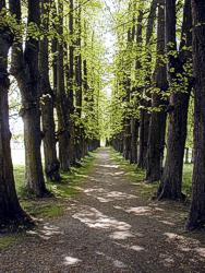 Fr&uuml;hling in Oslo