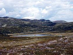 Noch einmal Norwegen