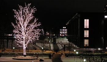 Beleuchteter Baum an der Uni